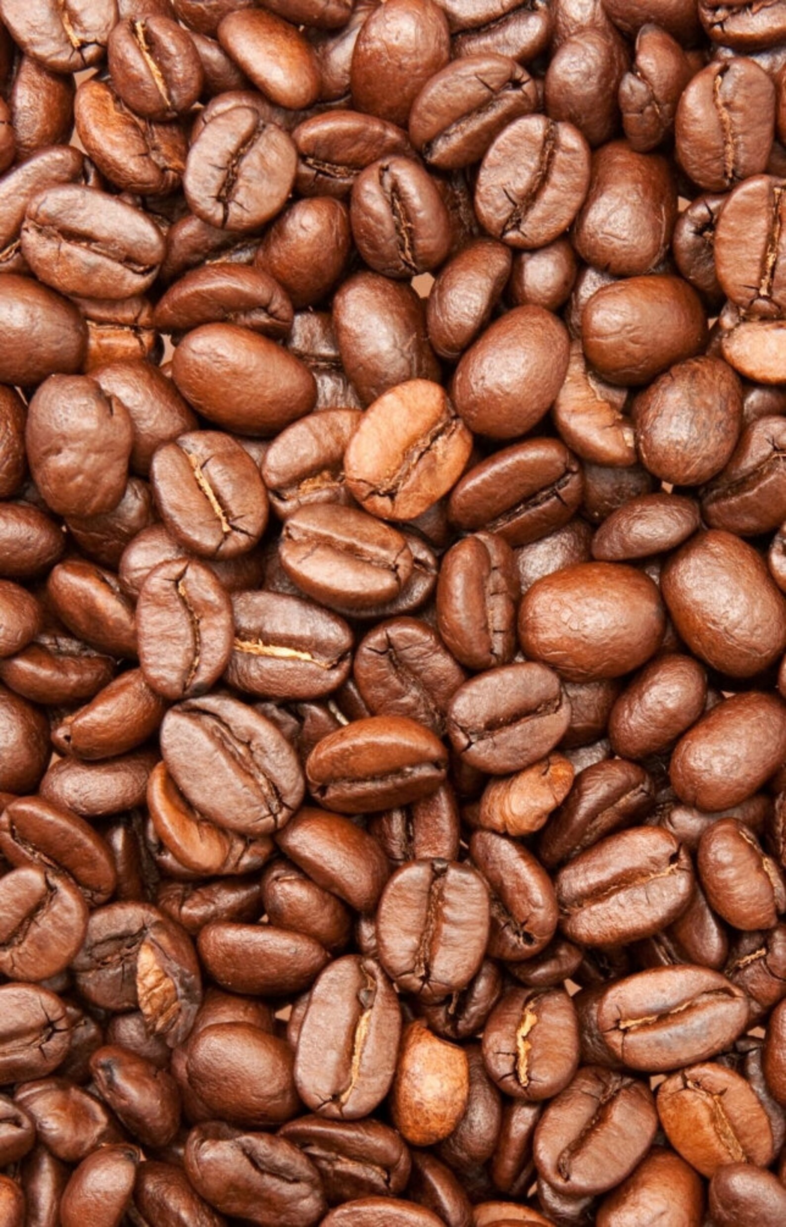 Vinyl Fragrant Coffee Beans Peel & Stick Wall Sticker Custom Photo