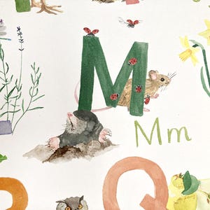 May include: A watercolor illustration of the letter M with a green background. A small mouse is sitting on the letter with ladybugs around it. A mole is in the foreground and the letter Mm is written below the letter.