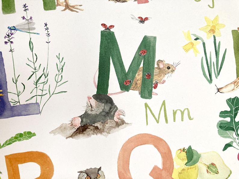 May include: A watercolor illustration of the letter M with a green background. A small mouse is sitting on the letter with ladybugs around it. A mole is in the foreground and the letter Mm is written below the letter.