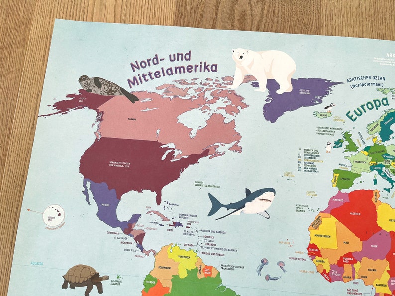 Weltkarte für Kinder mit allen Ländern und Kontinenten // Din A1 // politische Karte Bild 3