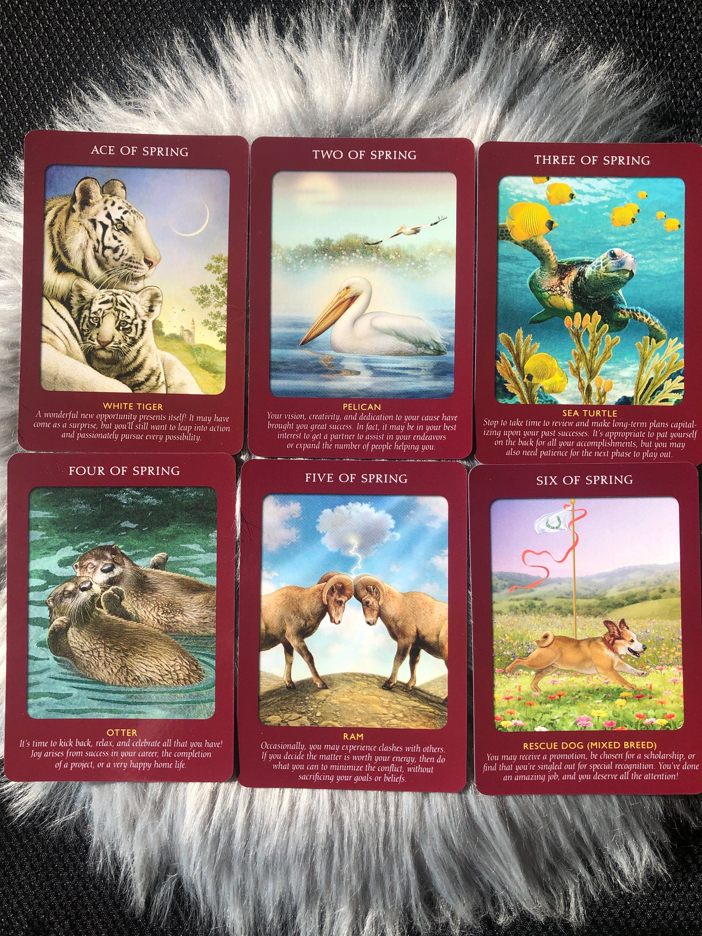 アニマルタロットカード ドイツ版 正規品 ドリーン バーチュー