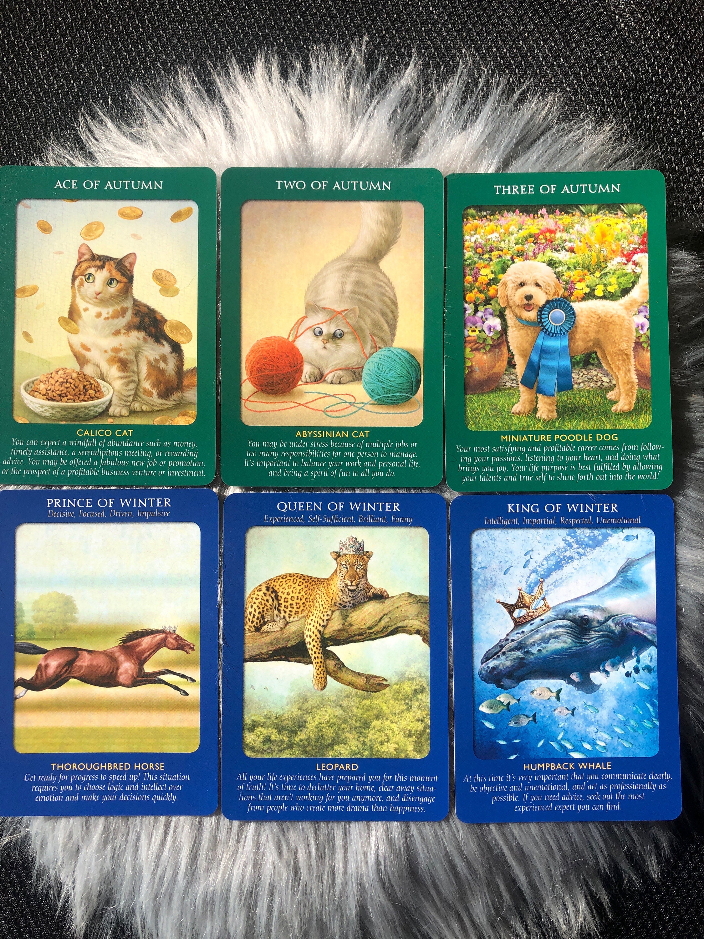 アニマルタロットカードデッキ：ドリーン・バーチュー＆ラドリー