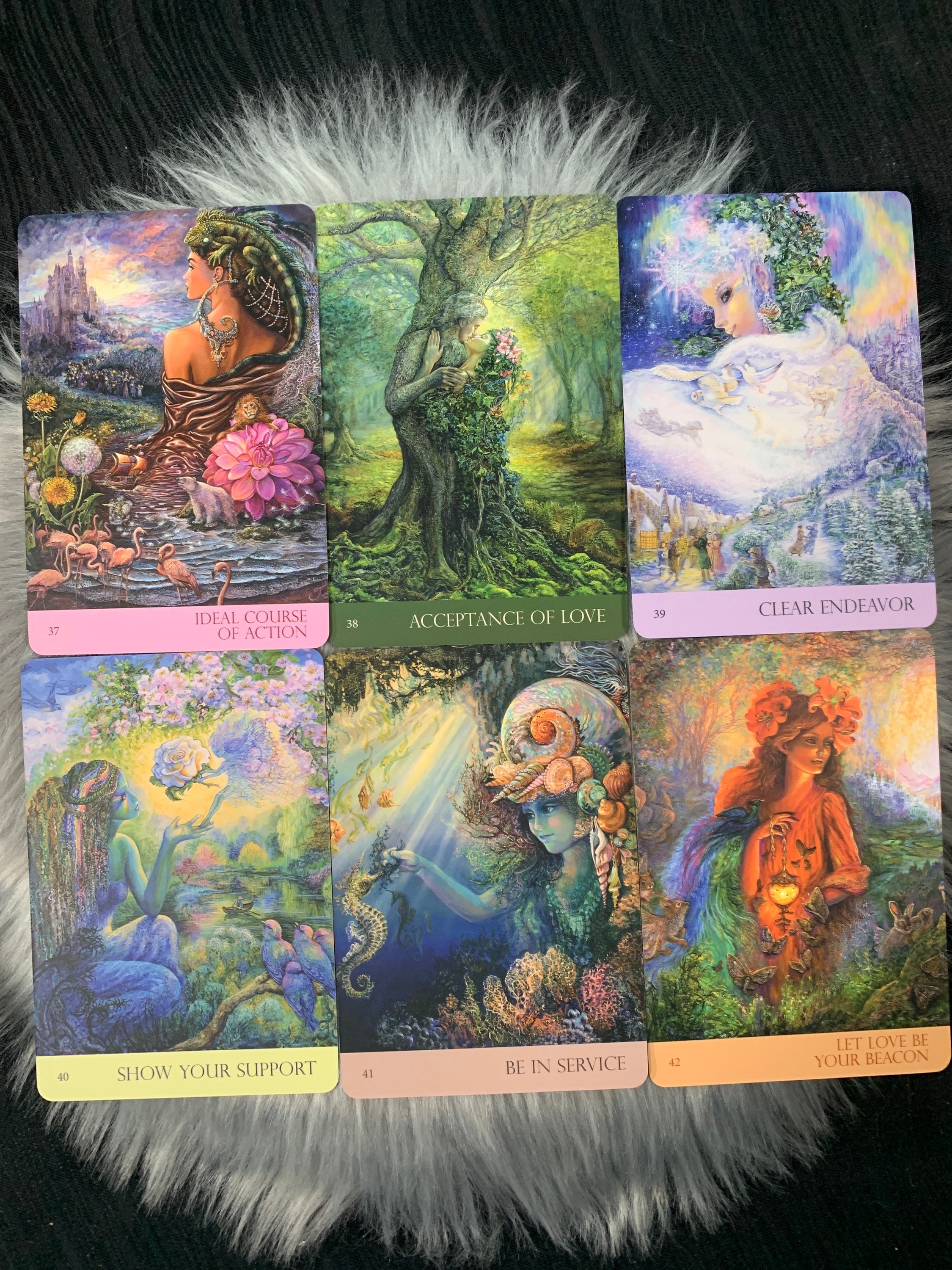【限定品】★美品★HAPPILY EVER AFETER oraclecards The Wild Elemental Oracle: (Oracle Kit Box Set with 44 Cards