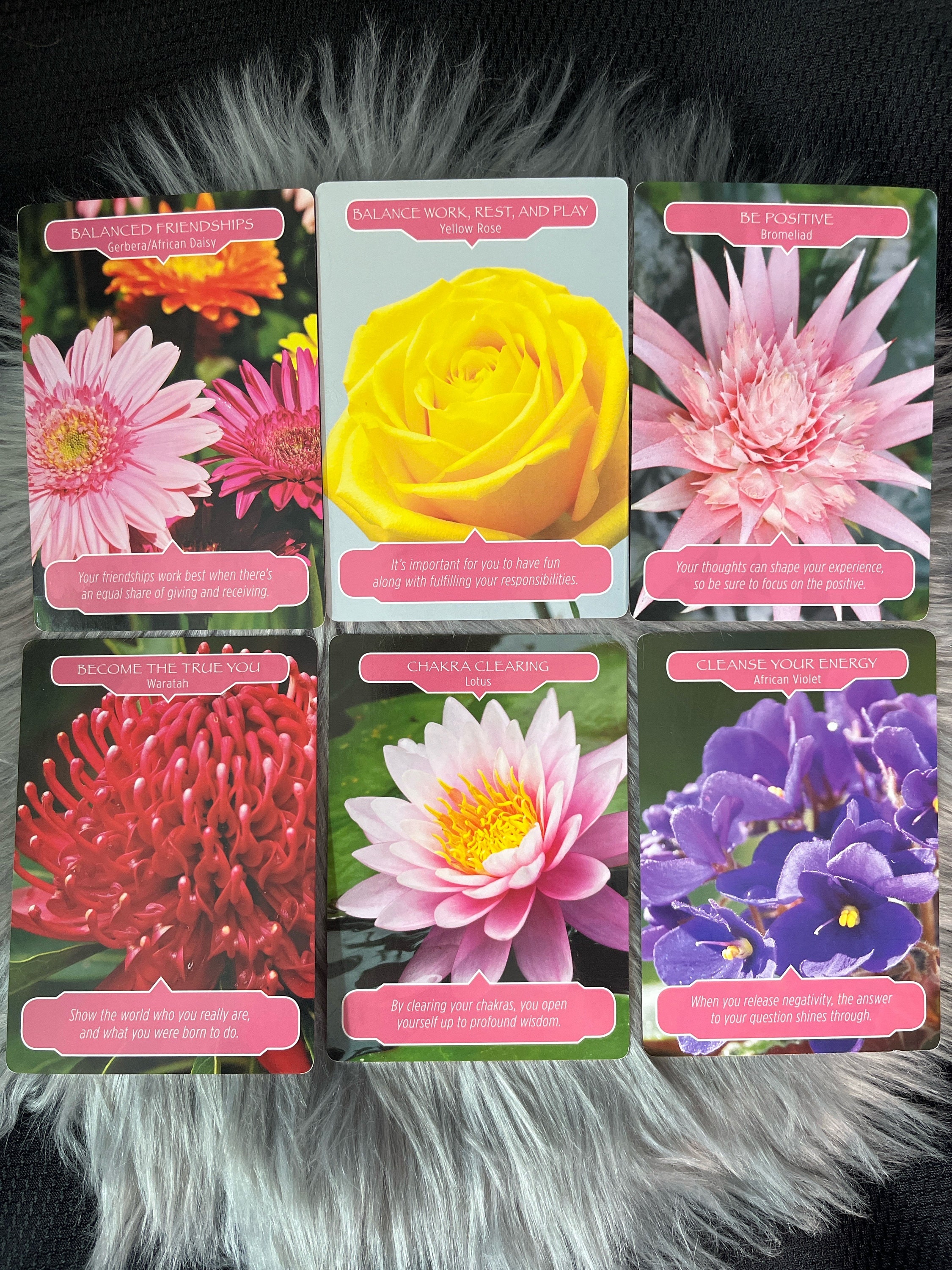 フラワーセラピーオラクルカードデッキ：ドリーン・バーチュー