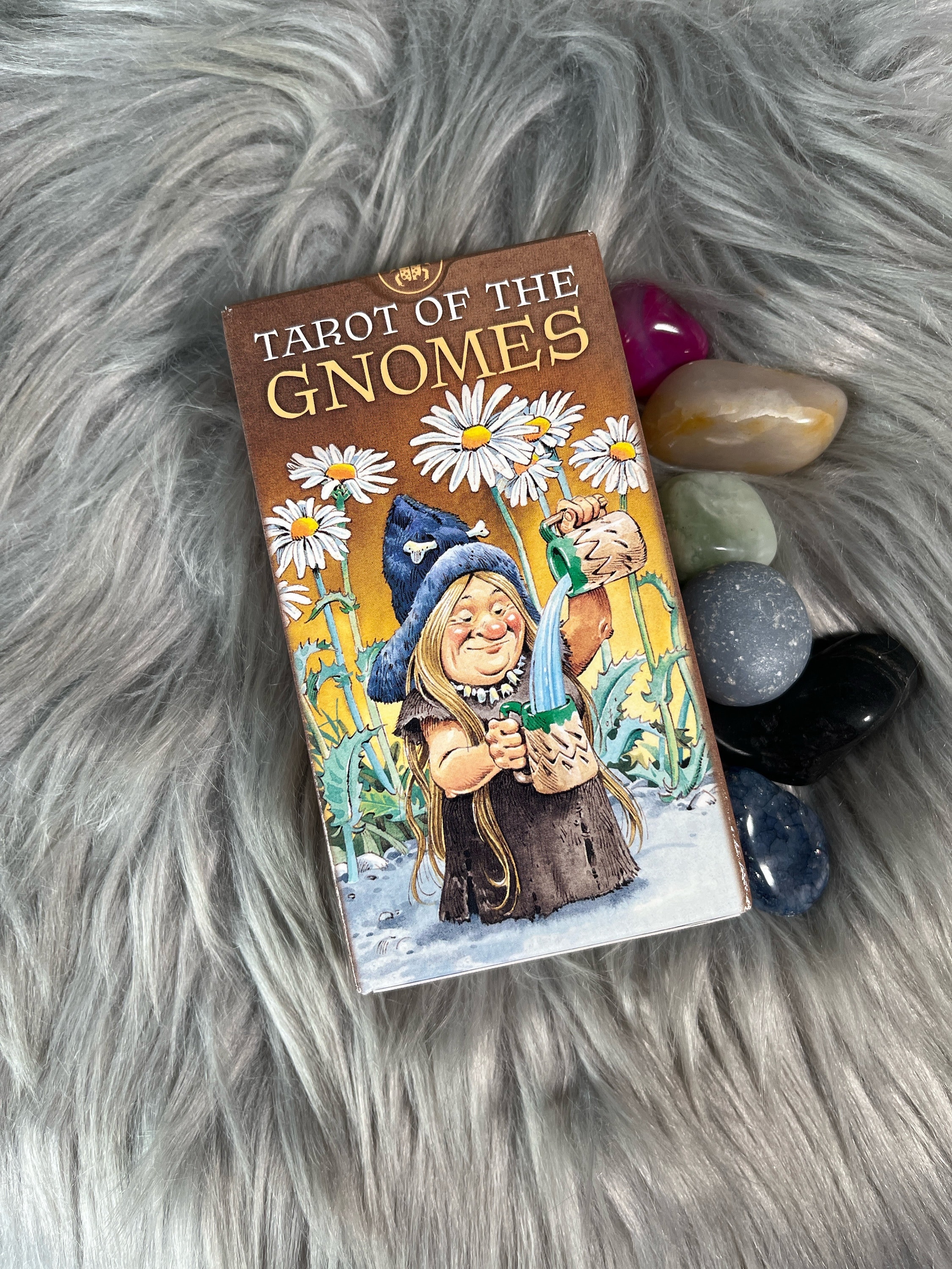 Tarot of the Gnomes Card Deck With Guidebook - Etsy