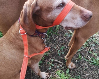 Figuur 8 anti-trek hondenhalster + veiligheidsriem, stop het trekken van honden, one size fits all, 19 mm (3/4") comfortabele kussenband, meerdere kleuren