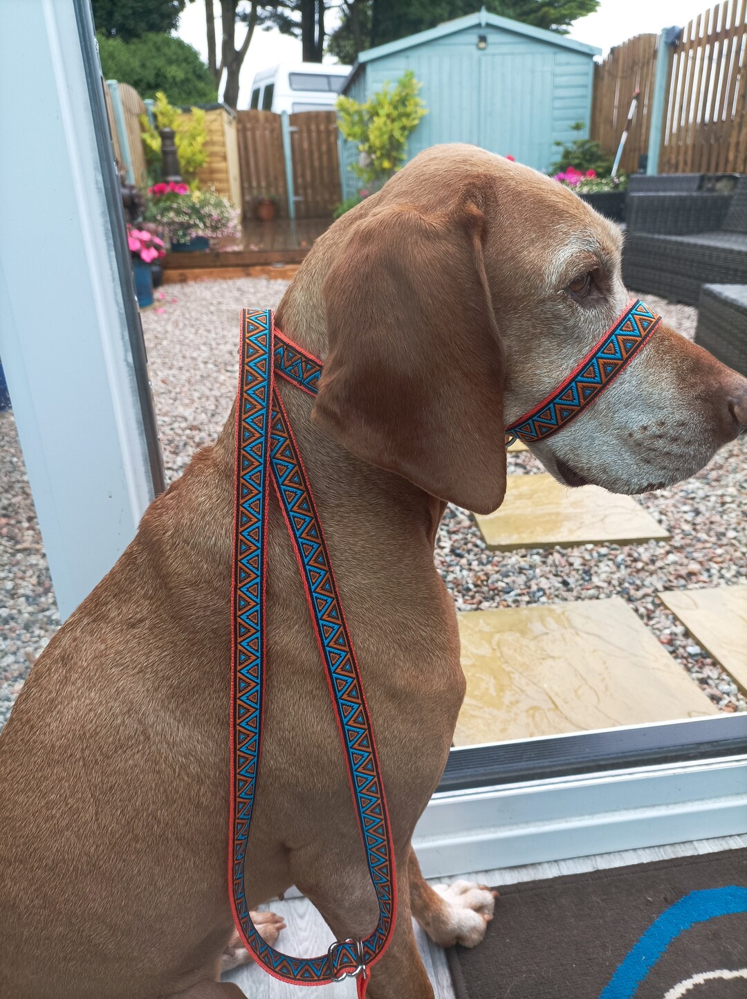 Figure 8 Anti Pull Dog Halter/lead Stops Dogs Pulling, One Size Fits