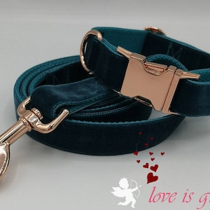 May include: Teal velvet dog collar and leash set with rose gold hardware. The collar features a rose gold buckle, and the leash has a matching rose gold clasp. The set is designed for pets.