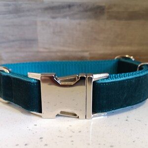 May include: A teal dog collar with a silver metal buckle. The collar is made of a teal velvet material with a teal nylon backing. The buckle is a shiny silver color.
