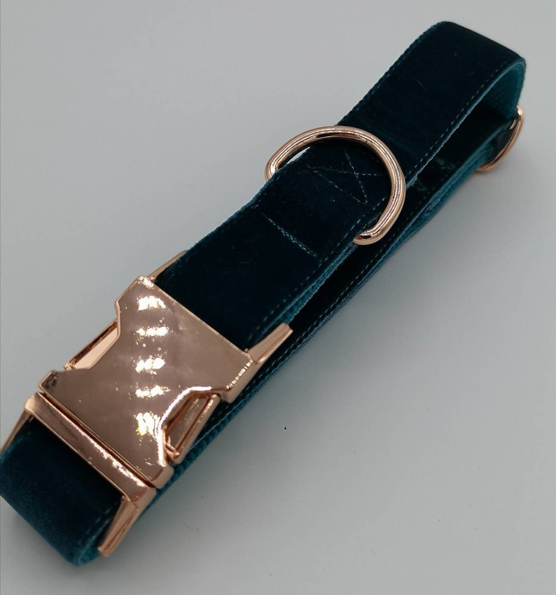 May include: A teal velvet dog collar with rose gold hardware. The collar features a rose gold buckle and a matching D-ring for leash attachment. The velvet material provides a soft, luxurious feel, while the hardware adds a touch of elegance.