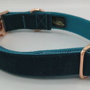 May include: Teal velvet dog collar with rose gold hardware. The collar features a soft velvet exterior and a durable teal webbing interior. The rose gold hardware includes a buckle, D-ring, and adjustment slider. The collar has a tag that says "A Little Wild Co."