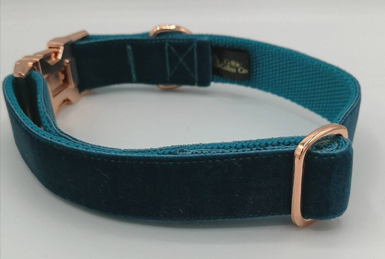May include: Teal velvet dog collar with rose gold hardware. The collar features a soft velvet exterior and a durable teal webbing interior. The rose gold hardware includes a buckle, D-ring, and adjustment slider. The collar has a tag that says "A Little Wild Co."