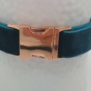 May include: Teal velvet dog collar with a rose gold buckle and hardware. The collar is a rich teal color and has a soft, velvety texture. The buckle is a shiny rose gold color.