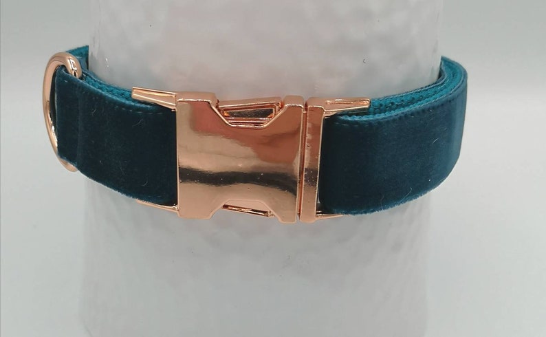 May include: Teal velvet dog collar with a rose gold buckle and hardware. The collar is a rich teal color and has a soft, velvety texture. The buckle is a shiny rose gold color.