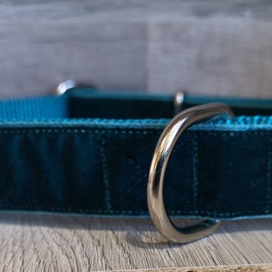 May include: A teal velvet dog collar with a silver metal D-ring and clasp. The collar has a teal nylon lining and is approximately 1 inch wide. The collar is designed for a dog.