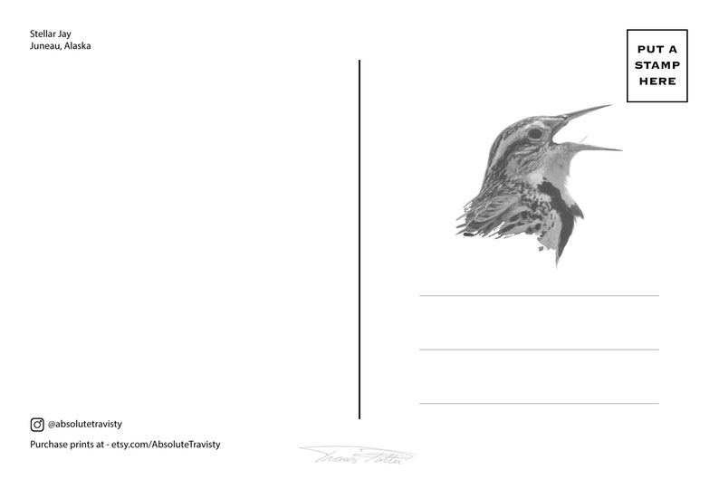 3 Pack Birds Postcards