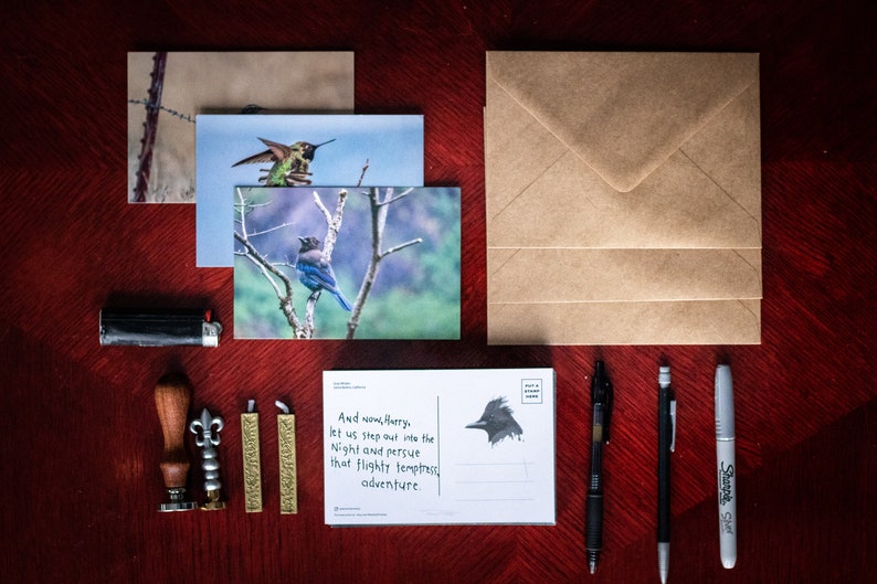 3 Pack Birds Postcards