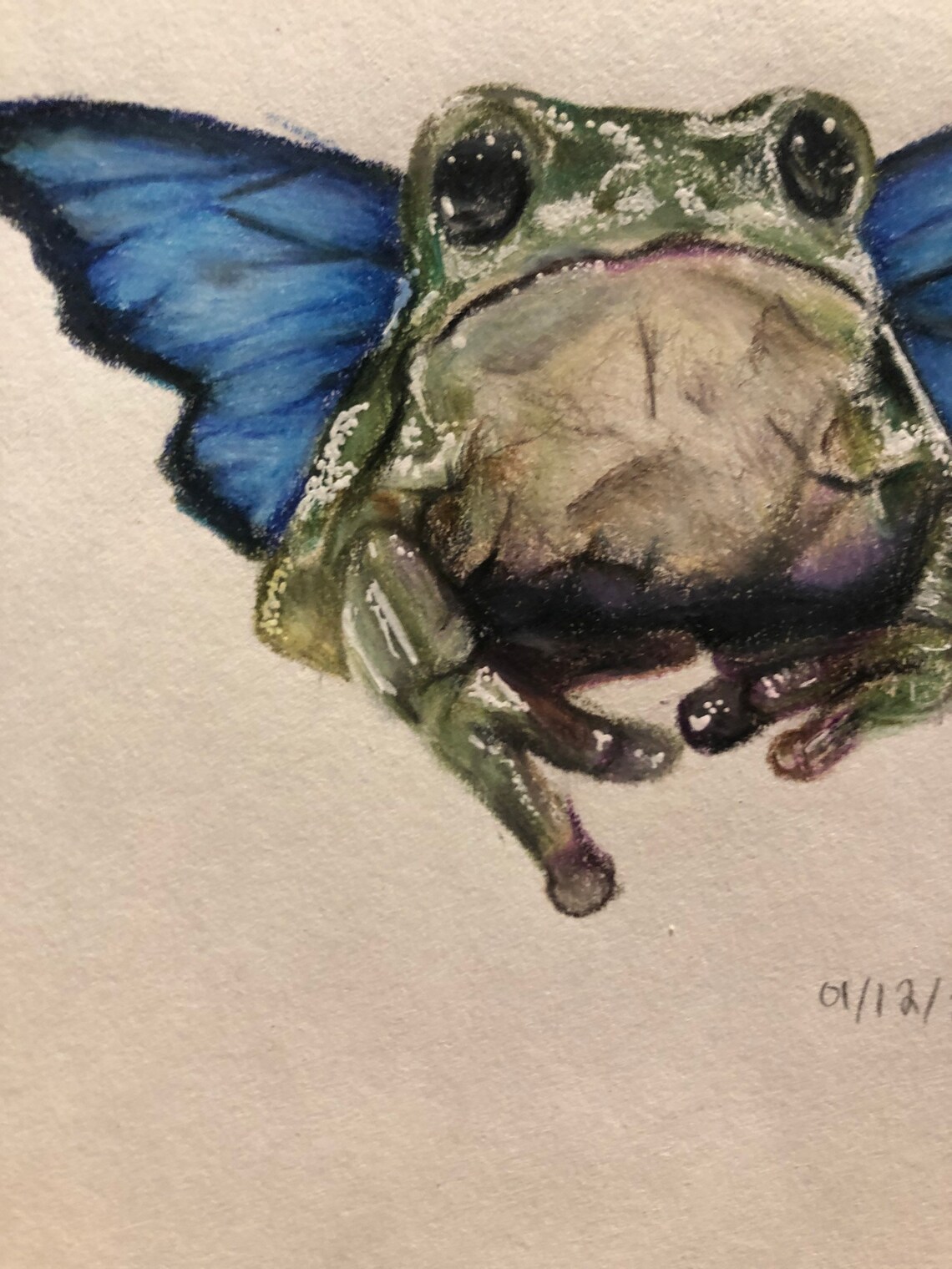 Original Drawing of Cute Frog With Butterfly Wings Etsy