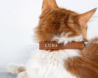 Cat Collar with Name, Leather Cat Collar, Custom Dog Collar, Personalized Collar, Leather Collar, Dog Collar, Cat Mom Gift, Dog Leash