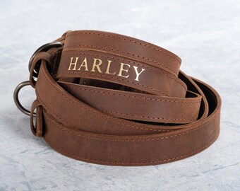 Custom Engraved Pet Collar, Leather Dog Collar, Leather Cat Collar, Breakaway Cat Collar, Personalized Dog Collar with Leather Leash