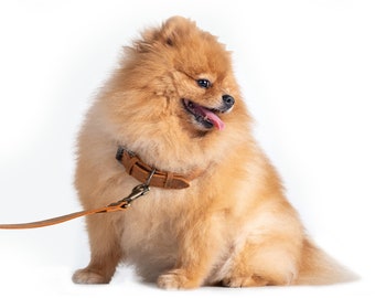 Custom Dog Collar, Personalized Dog Collar with Leather Leash, Girl Dog Collar, Leather Cat Collar, Leather Collar, Dog Mom Gift, Dog Leash
