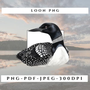 Loon Bird PNG-sublimatieafbeelding voor digitale download, afdrukken met natuurthema, ontwerpen, natuurliefhebbers, T-shirts, ambachten, Northern Loon.