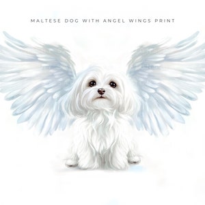 Maltese hond engelenvleugels afdrukbare muur kunst huisdier verlies cadeau, sympathie Memorial Art voor hondenliefhebbers, digitale download voor genezing en comfort.