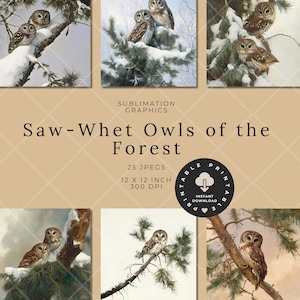Saw-Whet Owls of the Forest Digital Download Bundle Vintage Textured Owl Images for Scrapbooking, Junk Journals, Sublimation, Craft Prints.