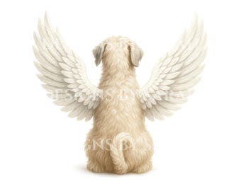Puede incluir: Ilustración de un perro esponjoso y de color claro con grandes alas de ángel emplumadas. El perro se ve desde atrás, sentado con la cola enrollada. Las alas son de color blanco crema, sobre un fondo blanco liso.