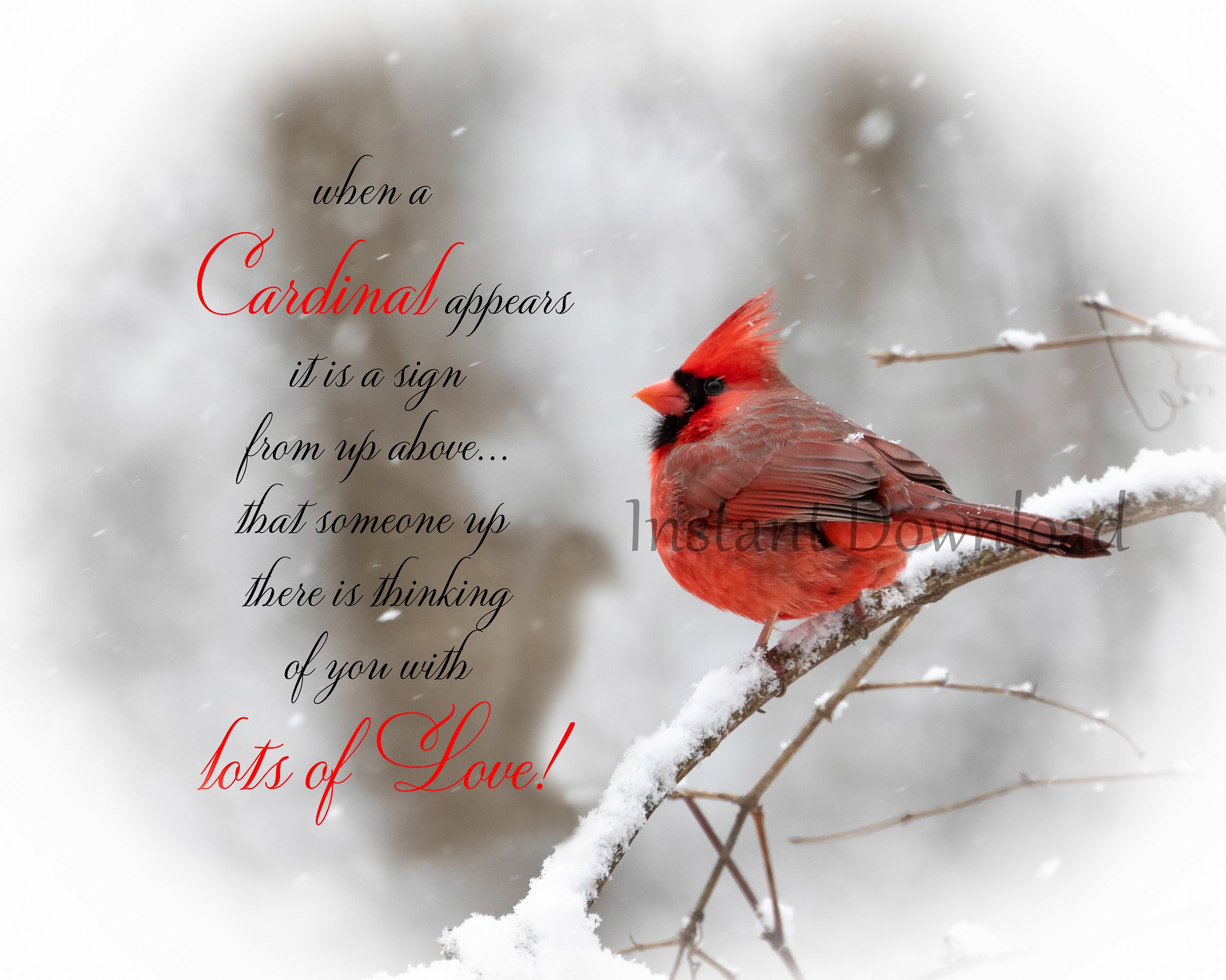 Cardinal Love Poem Printable Cardinal Print Sign Red Bird Etsy UK