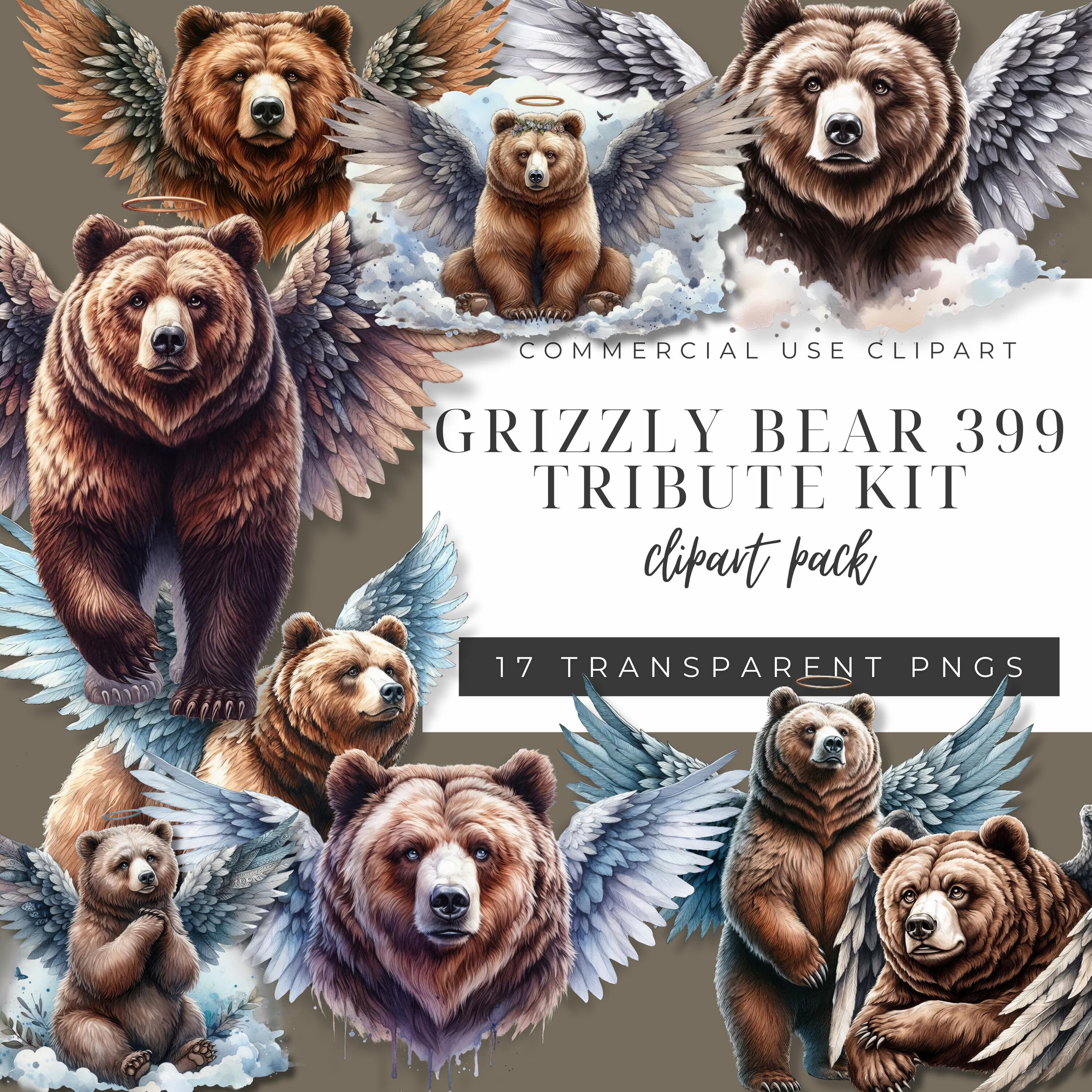 Grizzly Bear 399 Tribute PNG Bundle: Angel Wings Clipart (digital
