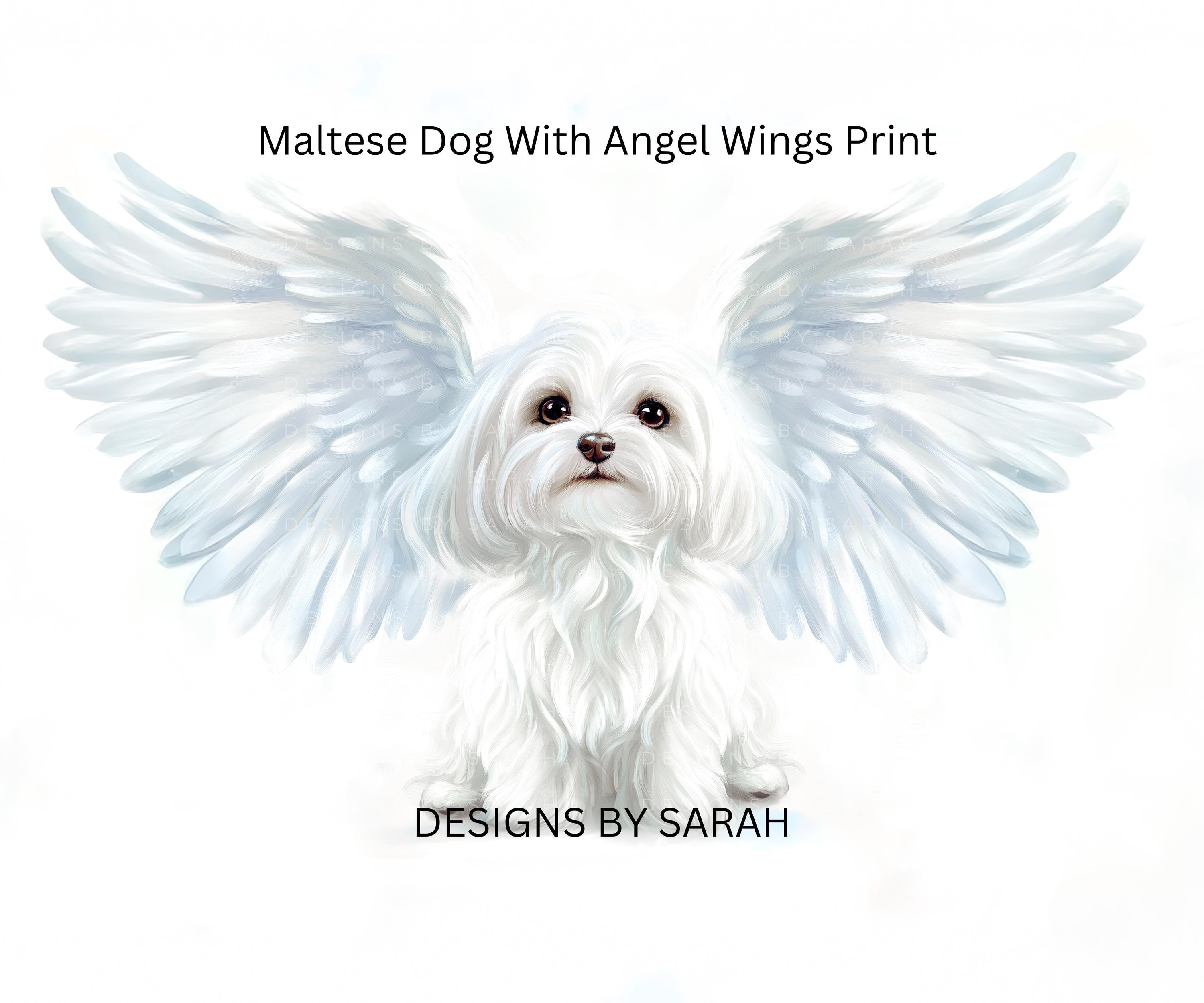 Maltese Dog Angel Wings Print: Pet Loss Memorial Art (digital Download ...