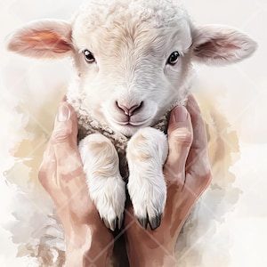 Op de afbeelding: Een wit lam met zachte vacht wordt voorzichtig in twee handen gehouden. Het lam heeft een lieve uitdrukking op zijn gezicht en zijn ogen zijn gesloten. De achtergrond is een zachte, aquarelachtige wasbeurt in lichtbruin en wit.