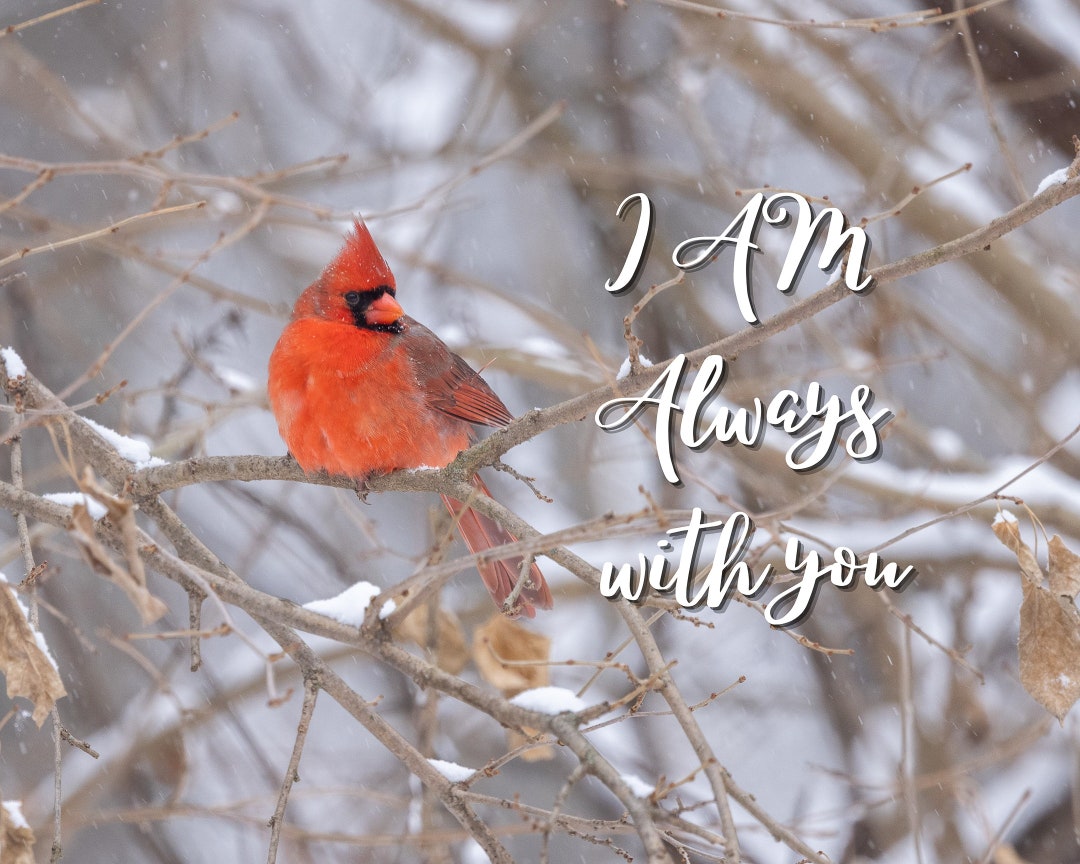 Cardinal Love Poem, Printable Cardinal Print Sign, Red Bird, Wall Art ...