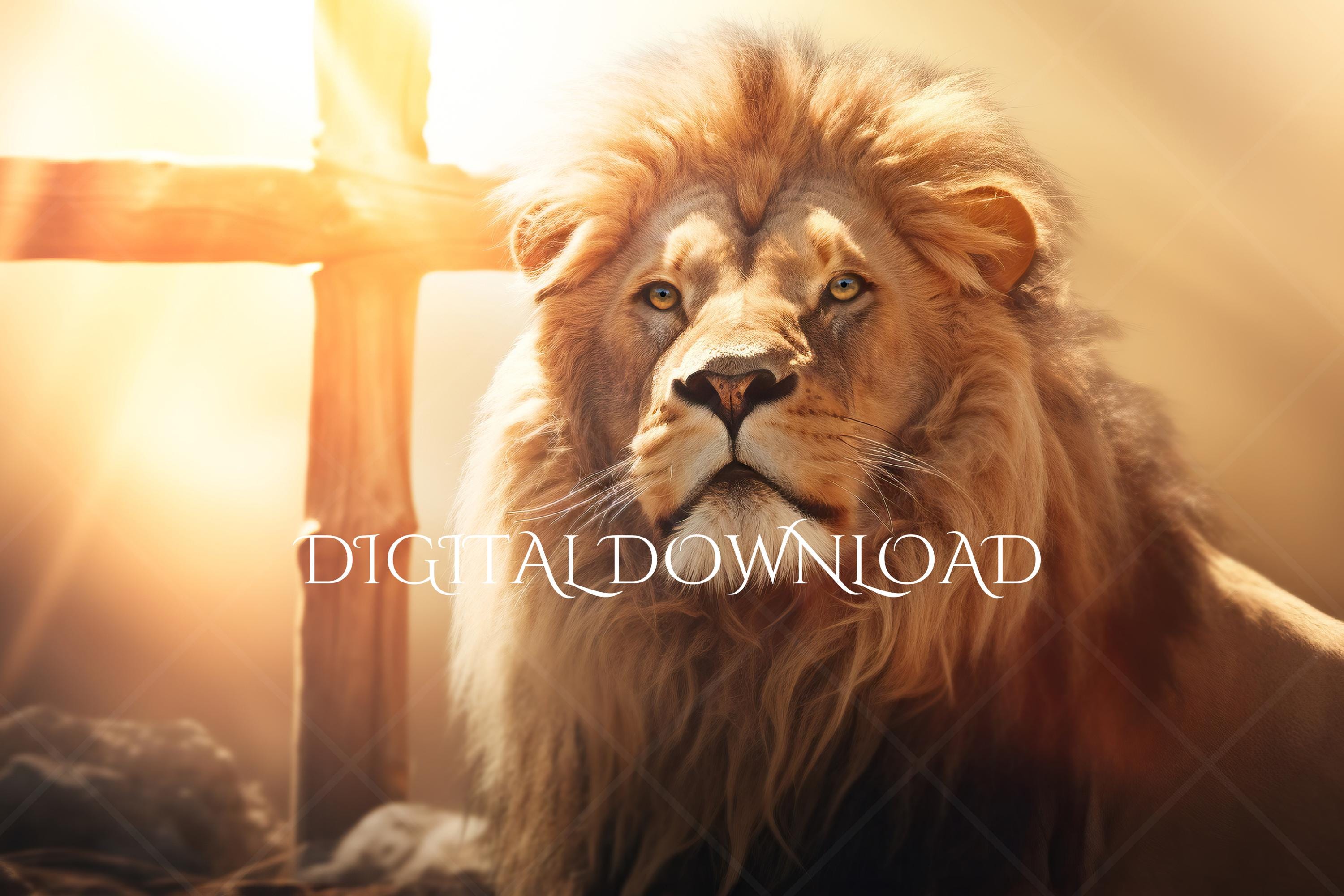 Jesus Lion Of Judah Images THE LION OF JUDAH: THE TRUE MEANING OF