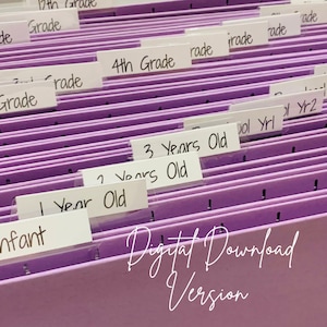 Milestone Tote Labels Instant Download , kids file labels , Kids File Box , Printable Labels , School Memory Box Labels , File Box Labels