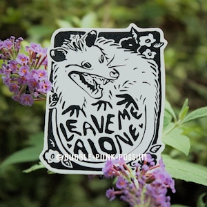 Possum Sticker: Leave Me Alone - PVC Free Waterproof Vinyl - Punk Goth Funny Sticker