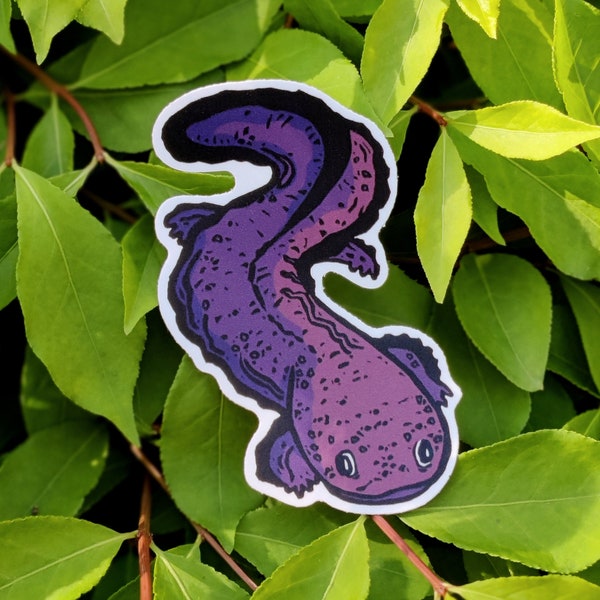 Hellbender Salamander Sticker - Endangered Midwest Species - North America's Largest Salamander Species - Gift for Amphibian or Nature Lover