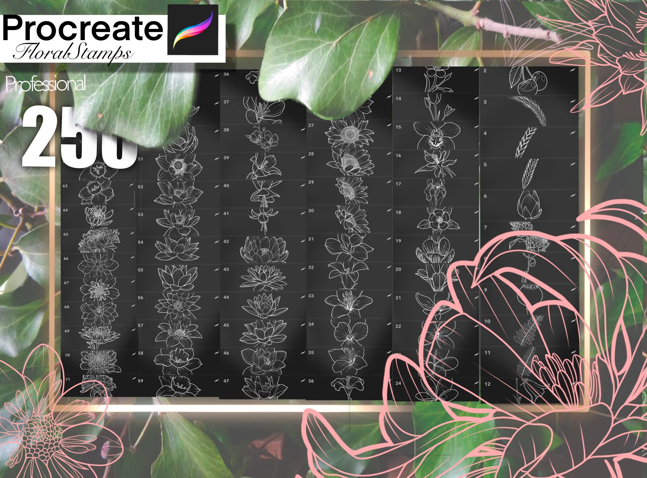 250+ MEGA Pack of Flowers Stamps for Procreate BEST of the BEST!! Must ...