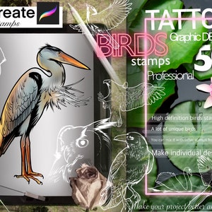 50+ Birds stamps for Procreate TURBO Set!! A must have for tattooers and designers