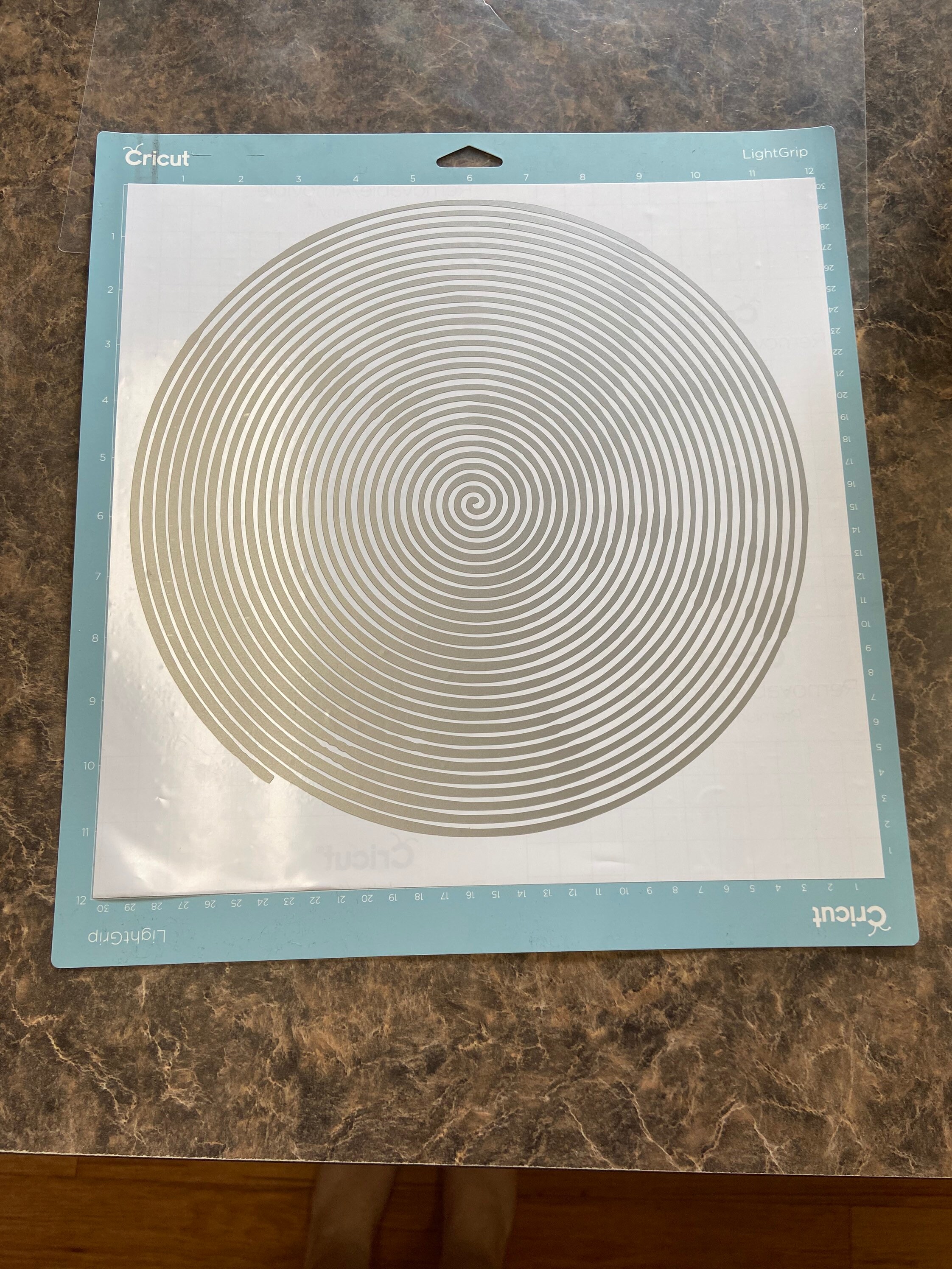 Spiral Betty Picture with Canvas | Etsy