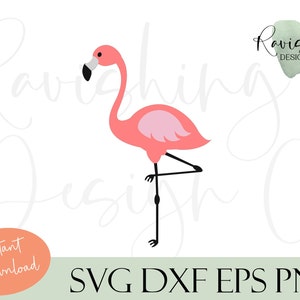 Flamingo Cut Files, SVG, Files for Cutting Machine