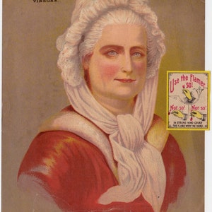 Grande carta pubblicitaria vittoriana Scrap Alden Aceto di frutta 6 1/2 x 5
