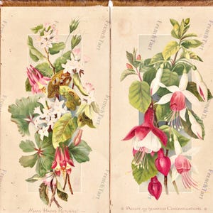Carte de voeux victorienne en soie à franges des années 1880, chromolithographie, fleurs d'ancolie fuschia