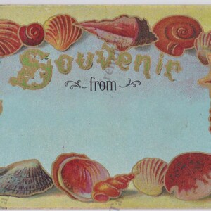 1910er Antike Seaside Souvenir Postkarte Goldgeprägte Muscheln