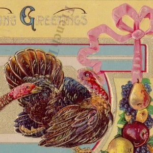 1911 P. Sander Co. In rilievo Ringraziamento Cartolina Tacchini Frutta & Nastri