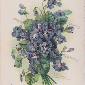 1890s C Klein Botanical Chromolithograph Floral Print Blue Flowers Verse On Back