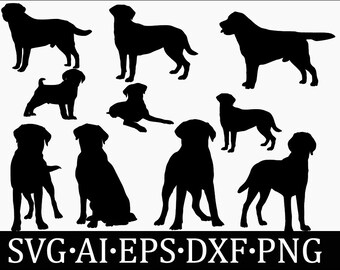 Labrador svg, Labrador svg bundle. Silhouette du Labrador.