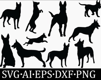 Belgian malinois svg, Belgian malinois svg bundle. Belgian malinois silhouette.