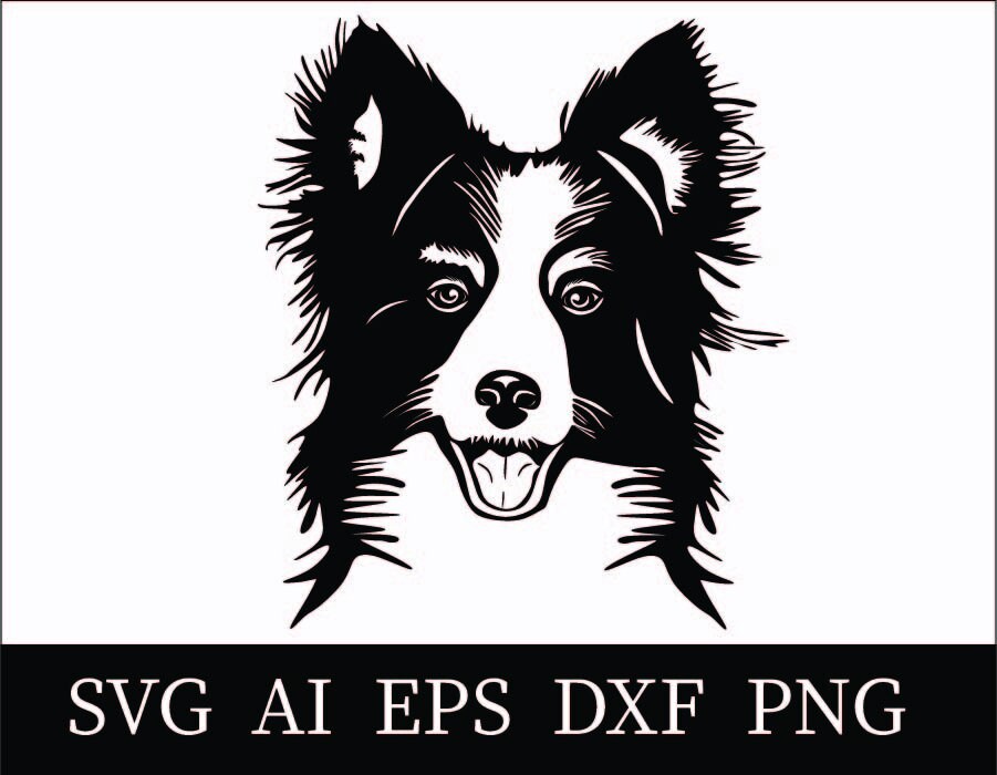 Border Collie Svg Border Collie Cut File Etsy